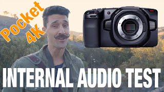 Pocket 4k Blackmagic internal mic test (outdoors)