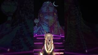 🌼🕉🌼 Om Namah Shivaya #viralshort #ytshorts #shorts #omnamahshivaya