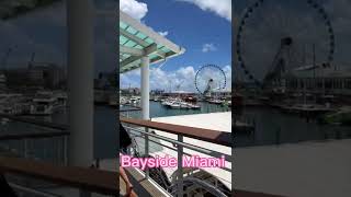 Bayside Miami Vlog #shorts #miami #miamiflorida