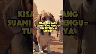 kisah seorang suami yang mengutuk istrinya menjadi se ekor anjing