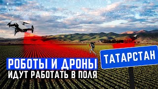 Создатели AgroTech: Много говорится о господдержке цифровизации сельского хозяйства, но ее нет