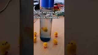 #shortsvideo #прикольный