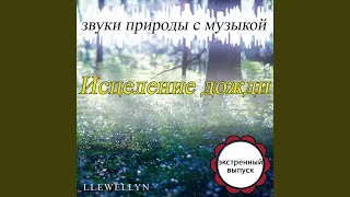 Исцеление гроза: звуки природы (Bonus Track)