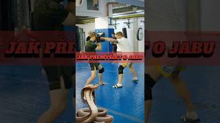 Cekuj dalsi video #mma #fight #coach