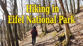 HIKING IN EIFEL NATIONAL PARK, GERMANY  IN SPRING 2021(4K) || MENDAKI DI TAMAN NATIONAL EIFEL