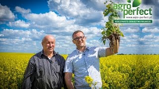 AGRO-PERFECT Bydgoszcz Wojciech Socha Rzepak