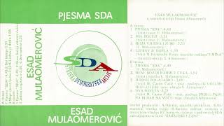 Esad Mulaomerović - Dva soneta