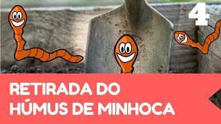 Tudo sobre Minhocário 04 - Retirada do húmus de minhoca