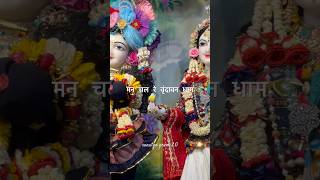 मन चल रे वृंदावन धाम ! Man chal tu vrindavan dham !sanatan prem 2.0#ytshorts #krishna #radheradhe