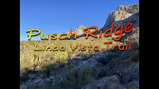 Pusch Ridge & Linda Vista Trail