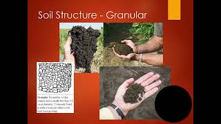 Soil Introduction to Formation and Field Properties