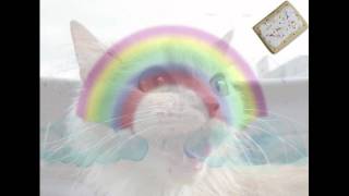 Nyan Cat (Great Big Poptart In The Sky Ambient Remix)