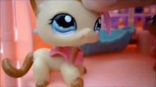 LPS || Love Story || Episode 3