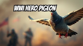 The Pigeon Hero of World War I: Cher Ami's Brave Mission #shorts #pigeons #funfacts