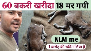 बकरी पालन चालू करते ही समस्या क्या आयी |MP Ka Ek Aur Bada Farm|NLM Scheme Ki Puri Jankari|Vimalumrao