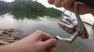 Catching Some Panfish from the Bank!