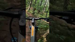 East Coast singletrack #mtb #mountainbike