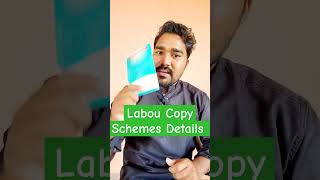 Labour Copy Scheme Fully #labourdepartmentharyana