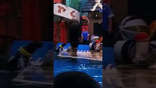 Sea Lion Show at Safari World #travel #shorts #sealionshow