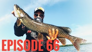 Episode 66 - Simcoe Pike update of the week