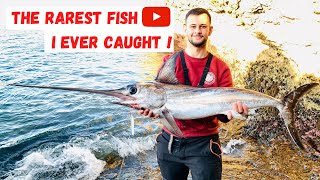 The rarest fish i ever caught - Shore jigging Swordfish