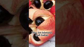 Mitos dan Kebenaran tentang Buah-buahan. #shorts #youtubeshorts #shortsvideo #feedshorts #viral