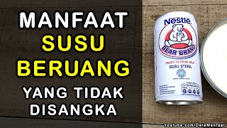 Manfaat Susu Beruang | Khasiat Susu Bear Brand Untuk Kesehatan Dan Kecantikan Yang Tidak Disangka