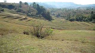 In deze omgeving hebben wij drie dagen rond getrokken (trekking Kalaw)