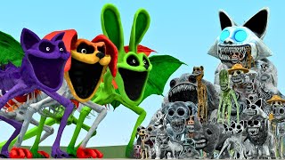 All Zoonomaly Monsters Vs All Catnap DogDay Hoppy Hopscotch Dragon In Garry's Mod !