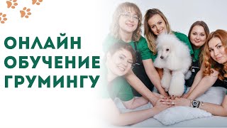 ОНЛАЙН-ОБУЧЕНИЕ в GroomAcademy