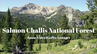 Scenic Drive, Salmon Challis NF - Solo Female Van Life || Bonus Video + music