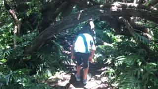 Pu'u Ma'eli'eli (Digging Hill) Trail