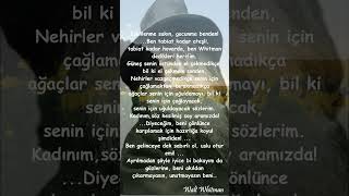 Walt Whitman - Bir Sokak Güzeli #waltwhitman  #seslikitapsiir #edebiyat #felsefe