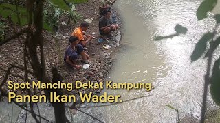 Spot Mancing Dekat Kampung.||.Panen Ikan Wader