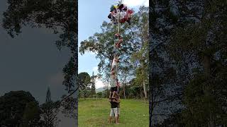 LOMBA PANJAT PINANG PALING RAME SUARA IBU-IBU