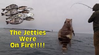 How to catch multiple species from the jetties at Perdido Pass in Orange Beach Alabama.