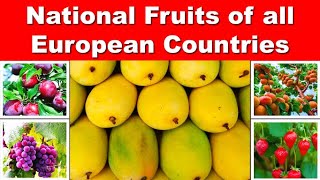 National Fruit of all European Countries || DAG12644