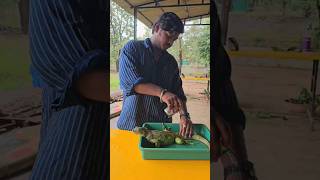 Part 2 soon! #explore #exotic #veterinary #vet #marathi #minivlog #iguana #vlogger  #petcare #shorts