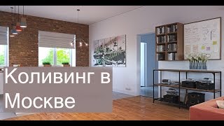 Проект коливинга Colivium в Москве. Дизайнер Анастасия Яковлева