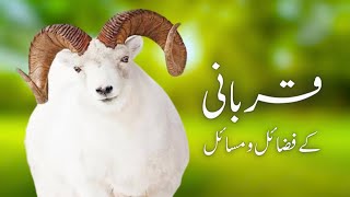 Hazrat Ibrahim علیہ السلام ki Qurbania or Allah Taala ke Inam | Juma bayan by Maulana Muhammad Azeem