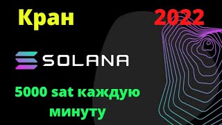 Жирные краны LTC и Solana 2022