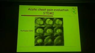 Basic Cardiac MRI Protocols and Relevant Pathologies - Orly Goiten