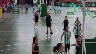 II TORNEO DE BALONCESTO “Día de la Provincia” de la Excma. Diputación Provincial de Sevilla