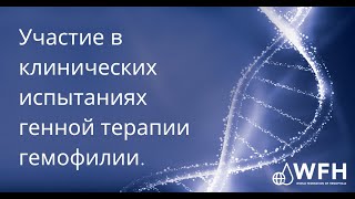 Участие в клинических испытаниях генной терапии гемофилии.