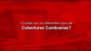 ¿Cuáles son los diferentes tipos de Coberturas Cambiarias? Max Bolaños