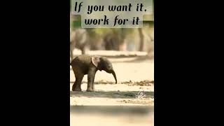 #motivation #hardwork #motivationalvideo