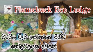 Flameback Eco Lodge | Wirawila | Srilanka | Hotel Review | Vlog 15