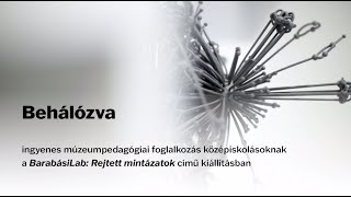 BEHÁLÓZVA: foglalkozás középiskolás csoportoknak a BarabásiLab: Rejtett mintázatok című kiállításban