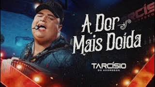 TARCÍSIO DO ACORDEON - A DOR MAIS DOÍDA