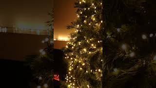 Mains Powered Outdoor Soft Flicker Christmas String Lights with Warm White LEDs in Choice of Size